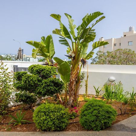 Fig Tree Bay Residences 5 普罗塔拉斯 外观 照片
